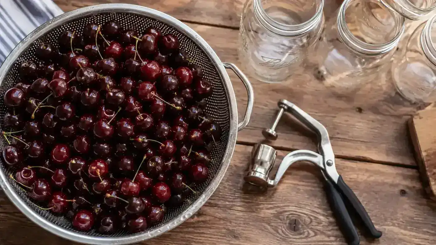 A colander of fresh sour cherries next to a handheld cherry pitter tool on a wooden counter, morning light